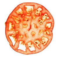 Контейнер для вакуумирования продуктов PolyScience