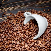 Кофе в зернах Astros Sidamo  Ethiopia Гуджи 100% арабика 1 кг