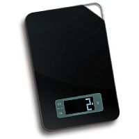 Весы Zigmund & Shtain DS-25 TB